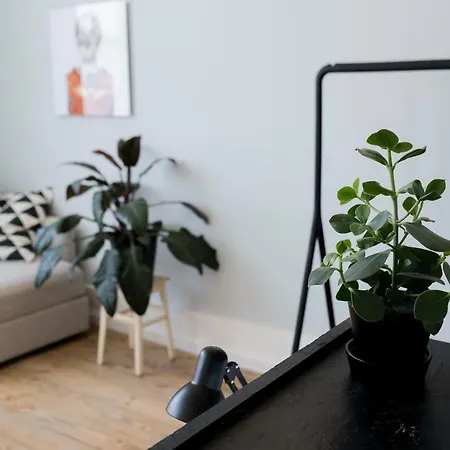 Baixa24 •p2r• Bright In Vibrant Downtown * ポルト