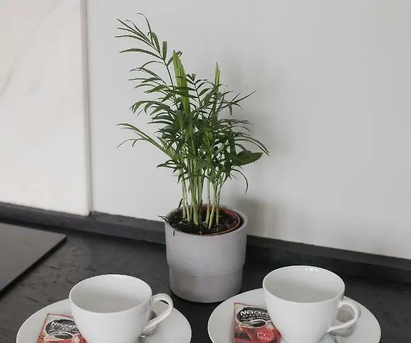 Baixa24 •p2r• Bright In Vibrant Downtown * ポルト