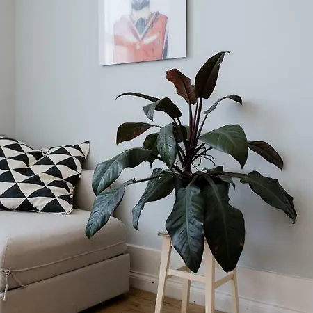 Baixa24 •p2r• Bright In Vibrant Downtown