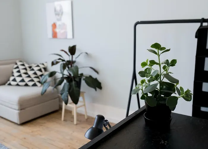 Baixa24 •p2r• Bright In Vibrant Downtown * ポルト