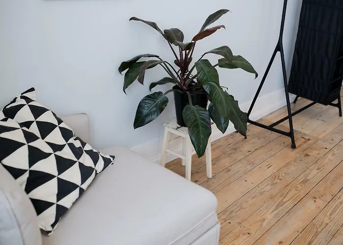 Appartement Baixa24 •p2r• Bright In Vibrant Downtown