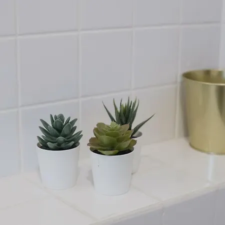 Apartman Baixa24 •p2r• Bright In Vibrant Downtown