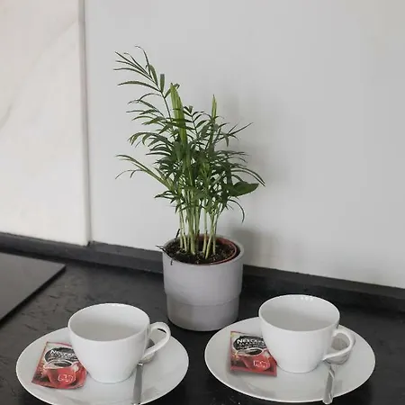 Baixa24 •p2r• Bright In Vibrant Downtown * Porto